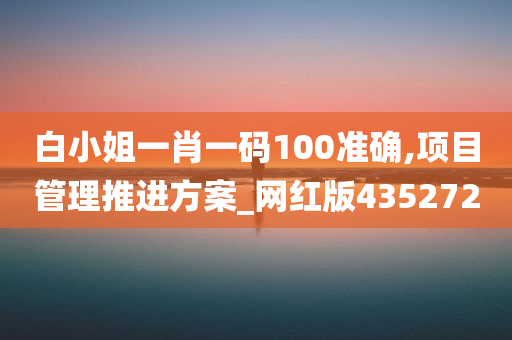 白小姐一肖一码100准确,项目管理推进方案_网红版435272