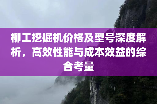 柳工挖掘机价格及型号深度解析，高效性能与成本效益的综合考量