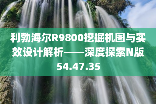 利勃海尔R9800挖掘机图与实效设计解析——深度探索N版54.47.35