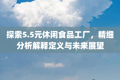 探索5.5元休闲食品工厂，精细分析解释定义与未来展望