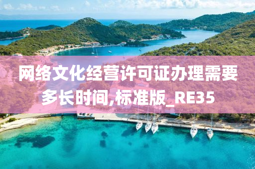 网络文化经营许可证办理需要多长时间,标准版_RE35