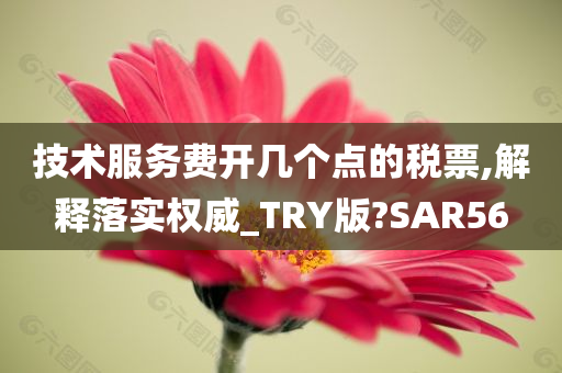 技术服务费开几个点的税票,解释落实权威_TRY版?SAR56