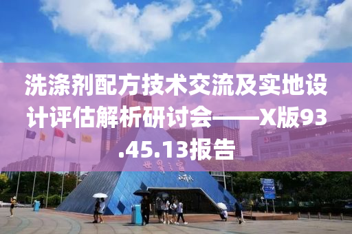 洗涤剂配方技术交流及实地设计评估解析研讨会——X版93.45.13报告