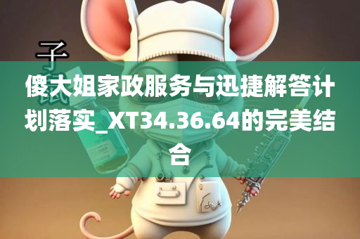 傻大姐家政服务与迅捷解答计划落实_XT34.36.64的完美结合