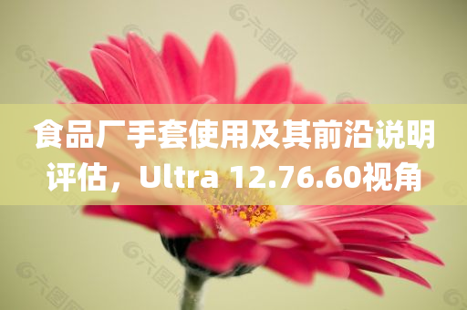 食品厂手套使用及其前沿说明评估，Ultra 12.76.60视角