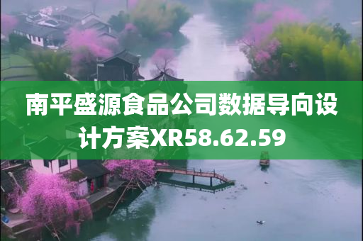 南平盛源食品公司数据导向设计方案XR58.62.59